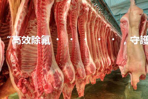 “高效除氟，守護(hù)碧水藍(lán)天——廢水中氟離子處理新篇章”